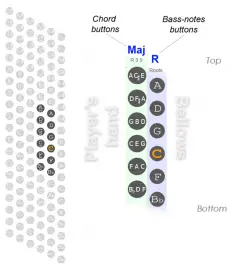 12 bass accordion chords