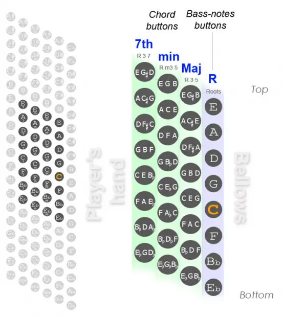 32-bass-accordion-chart-diagram-bass-notes-list-of-chords