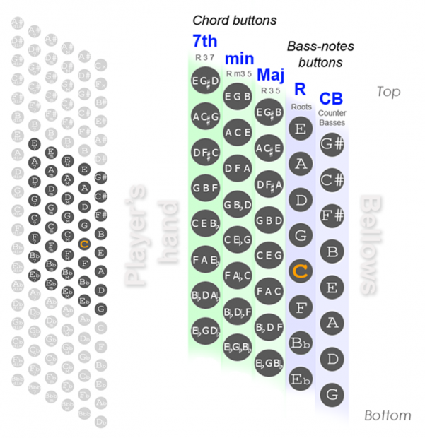 40 Bass Accordion Chart Diagram, Bass Notes, List of Chords