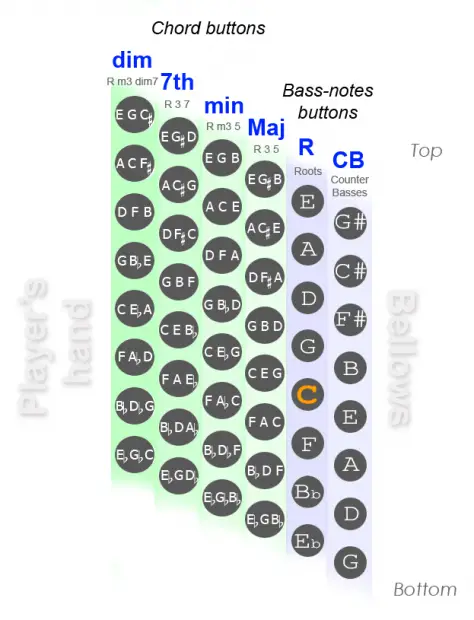 48 bass accordion 8 x 6 layout A