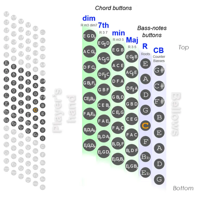 Accordion Chord Charts for Stradella Bass System Accordions