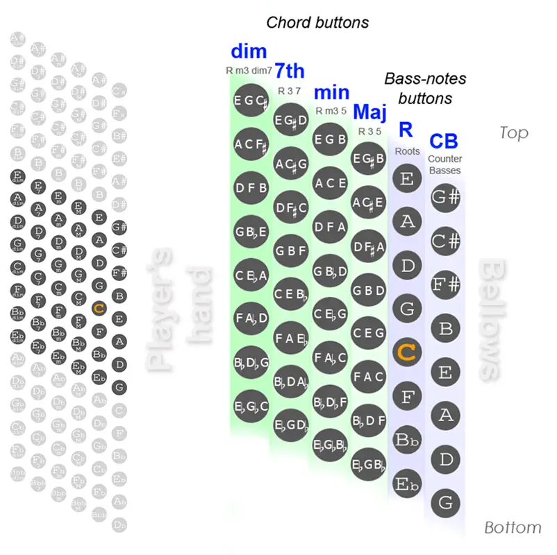 48 bass accordion chart 8x6 layout 48 bass accordion chart 8x6 layout