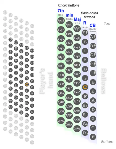 60 Bass Accordion Chart - Diagram, Bass Notes, List of Chords