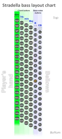 Diminished chord buttons column on the Stradella bass system
