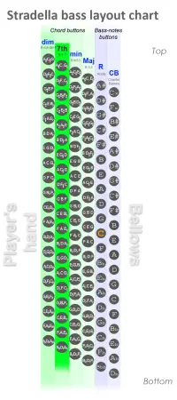 Dominant 7th chord buttons column on the Stradella bass system