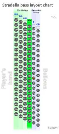 Major chord buttons column on the Stradella bass system