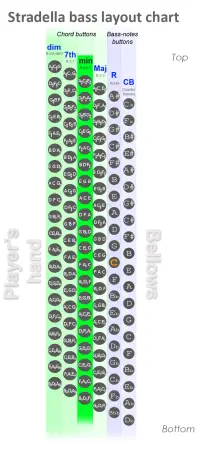 Minor chord buttons column on the Stradella bass system
