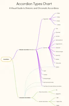 Types Of Accordions And Their Distinctive Features